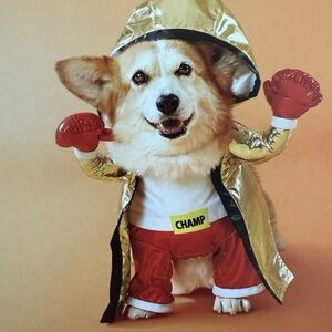 NWOT Dog Champ Boxer Costume XS